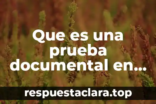 Que es una prueba documental en derecho penal mexicano