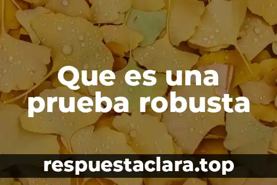 Que es una prueba robusta