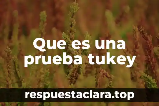Que es prueba de antigenos somaticos 6 Que es una prueba tukey