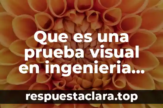 Que es una prueba visual en ingenieria de software