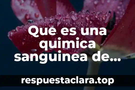 Qué es un equipo de química sanguínea 3 Que es una quimica sanguinea de 35 elementos