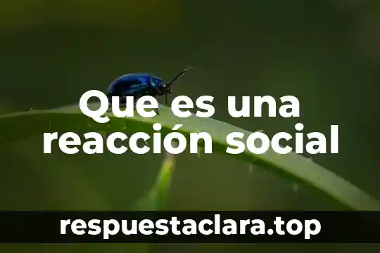 Que es una reacción social