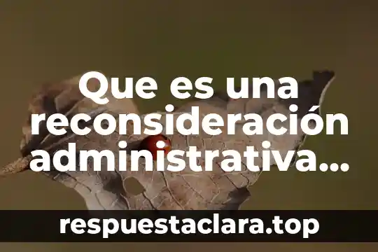 Que es una reconsideración administrativa procedimiento