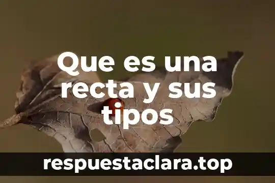 Que es una recta y sus tipos