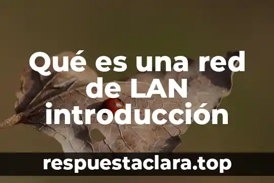 Por que es importante tener privacidad en tu red 3 Qué es una red de LAN introducción
