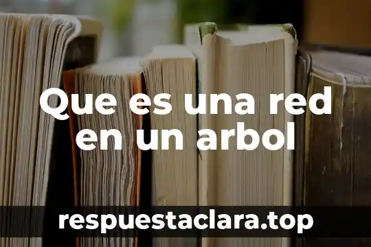 Que es mala conciencia segun la biblia 8 Que es una red en un arbol