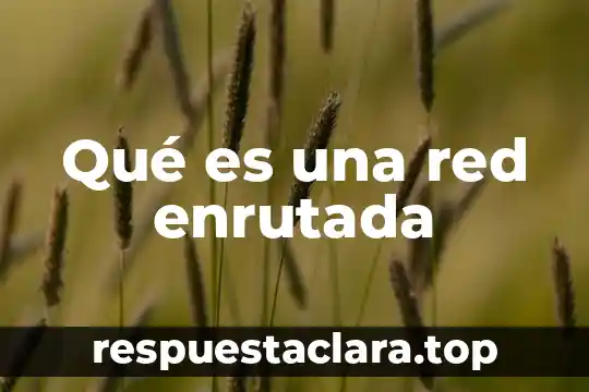 Que es una red de doble estrella 4 Qué es una red enrutada