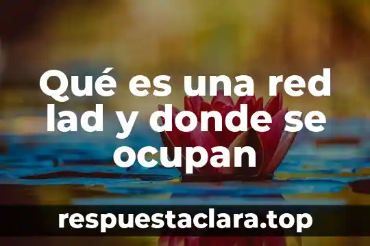 Qué es una red lad y donde se ocupan