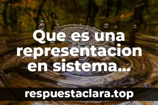 Que es un segmento relacion ala historia 7 Que es una representacion en sistema sagital de una relacion