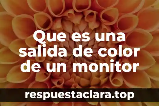 Qué es una salida analógica en un PLC 8 Que es una salida de color de un monitor