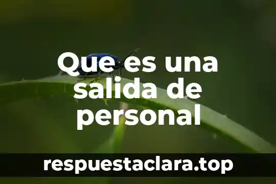 Que es una salida de color de un monitor 8 Que es una salida de personal