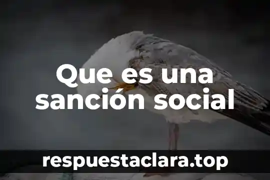 Que es una sanción social