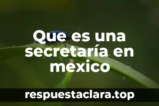 Habilidad de pensamiento que es síntesis de organización mental 8 Que es una secretaría en mexico