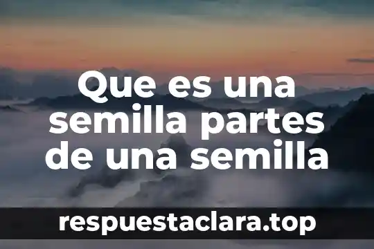 Que es una semilla partes de una semilla