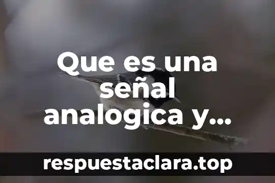 Que es el marketing digital concepto 8 Que es una señal analogica y digital