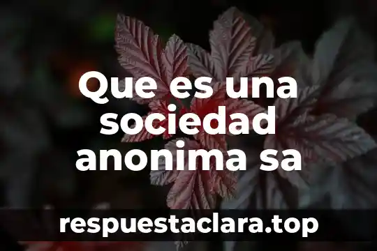 Que es una sociedad anonima sa