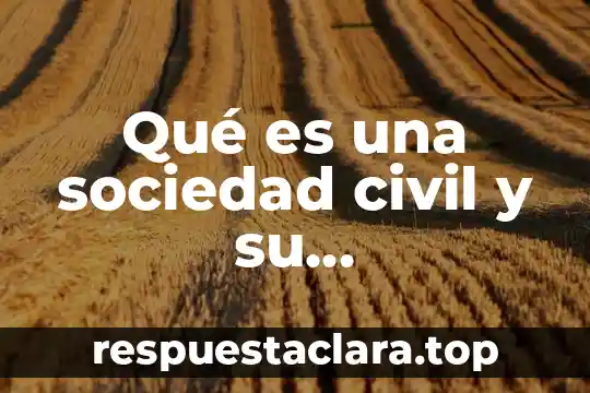 Que es los valores de una organizacion 4 Qué es una sociedad civil y su organización