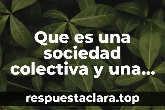 Que es la creatividad colectiva en la educación 3 Que es una sociedad colectiva y una sociedad anonima