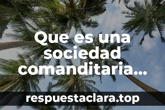 Que es una sociedad comanditaria por acciones simplificadas