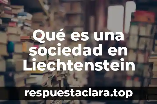 Qué es una sociedad en Liechtenstein