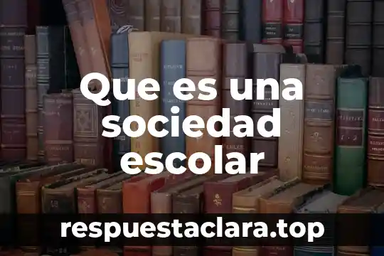 Qué es sociedad capitalista 8 Que es una sociedad escolar