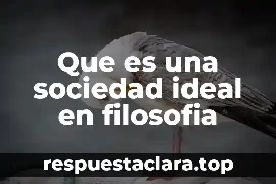 Qué es el desierto definición concreto 3 Que es una sociedad ideal en filosofia