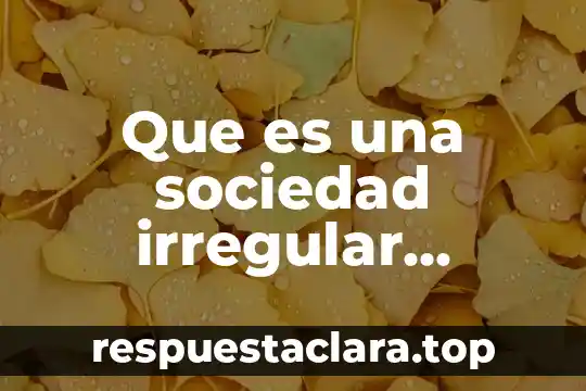 Qué es sociedad capitalista 3 Que es una sociedad irregular ejemplo mexico