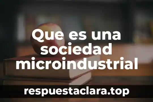 Que es un sociedad industrializada 3 Que es una sociedad microindustrial