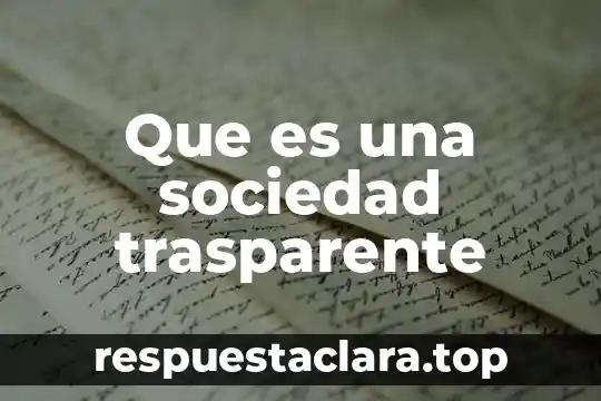 Que es una sociedad trasparente