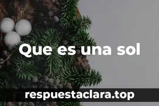 Qué es un mapa cognitivo tipo sol y ejemplo 3 Que es una sol