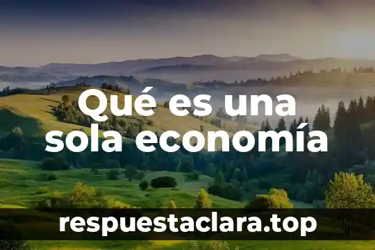 Que es necesidad libro fundamento de economia 6 Qué es una sola economía