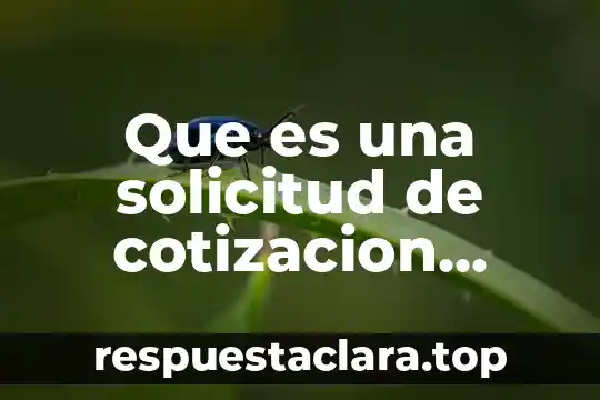 Que es una solicitud de cotizacion segun autores
