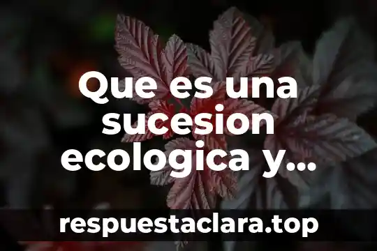 Que es una sucesion ecologica y cuantos tipos hay