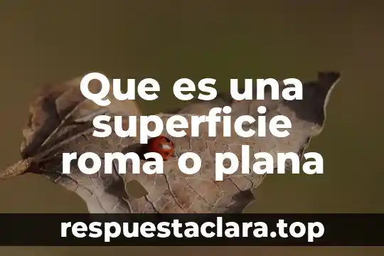 Que es el estudio del movimiento de la superficie terrestre 7 Que es una superficie roma o plana