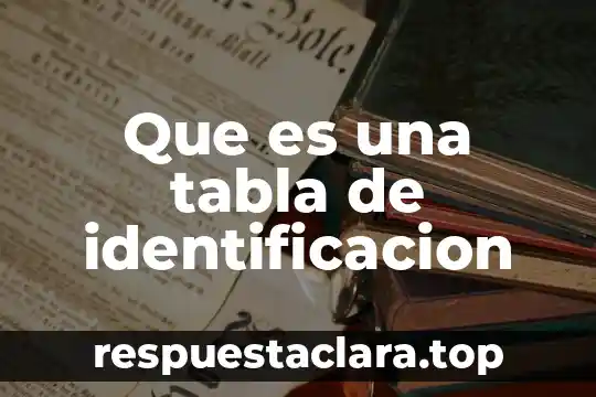 Qué es número de identificación de cuenta IVR Visa 5 Que es una tabla de identificacion