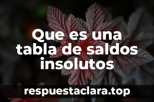 Que es una tabla de saldos insolutos