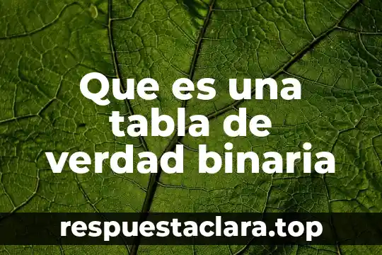 Que es una tabla de verdad binaria