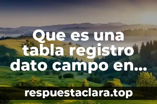 Que es una tabla registro dato campo en bd