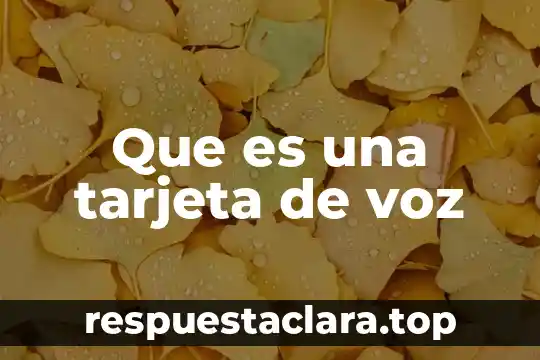 Que es una tarjeta de voz