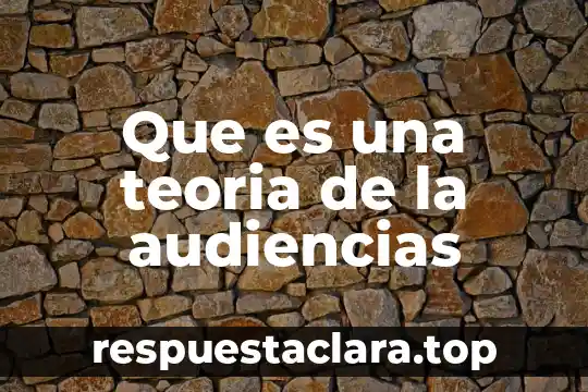Que es una teoria de la audiencias