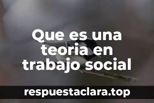 Que es una teoria en trabajo social