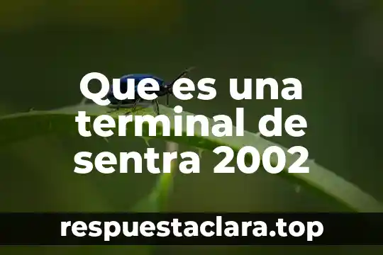 Que es una terminal de sentra 2002