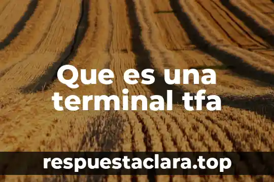 Que es una terminal tfa