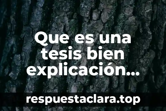 Que es una tesis bien explicación para niños