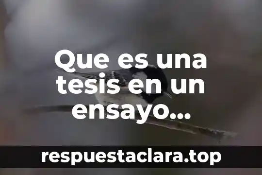 Que es una tesis en un ensayo descriptivo