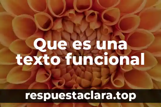 Que es una texto funcional