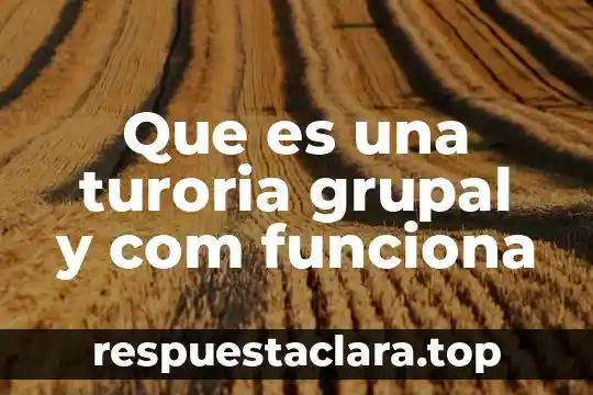 Que es una turoria grupal y com funciona