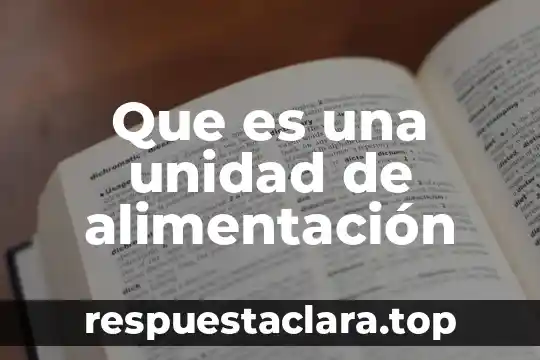 Que es una unidad de alimentación