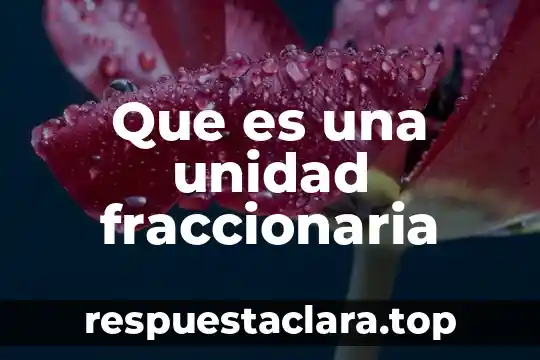 Que es una unidad fraccionaria