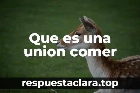 Que es una union comer